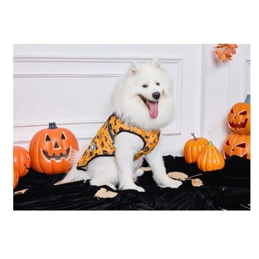 Aiboria Fleece Lined Halloween Jacket with attached harness MEDIUM NWOT